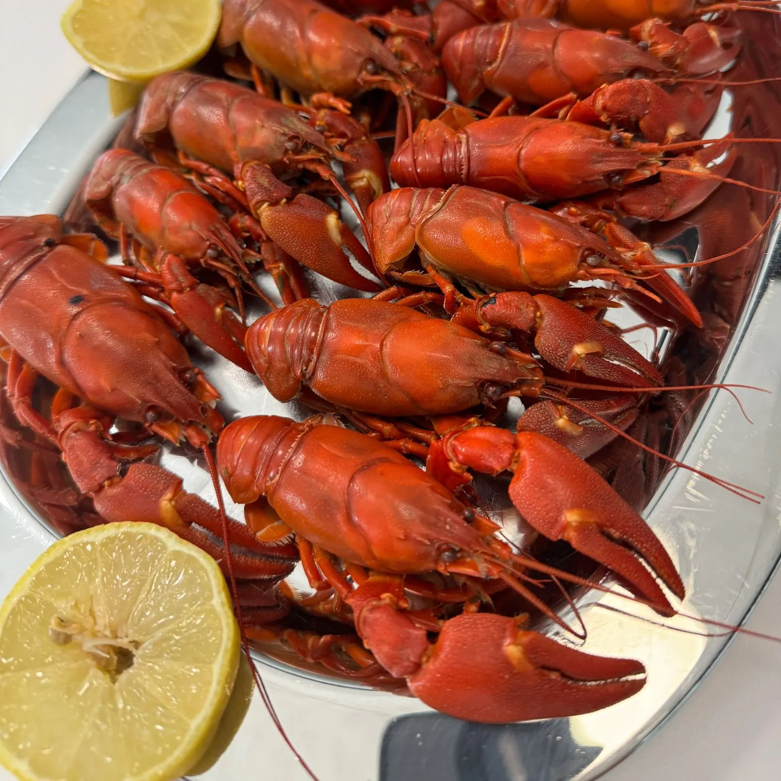 The most recent Opilio snow crab catches on Fishbrain