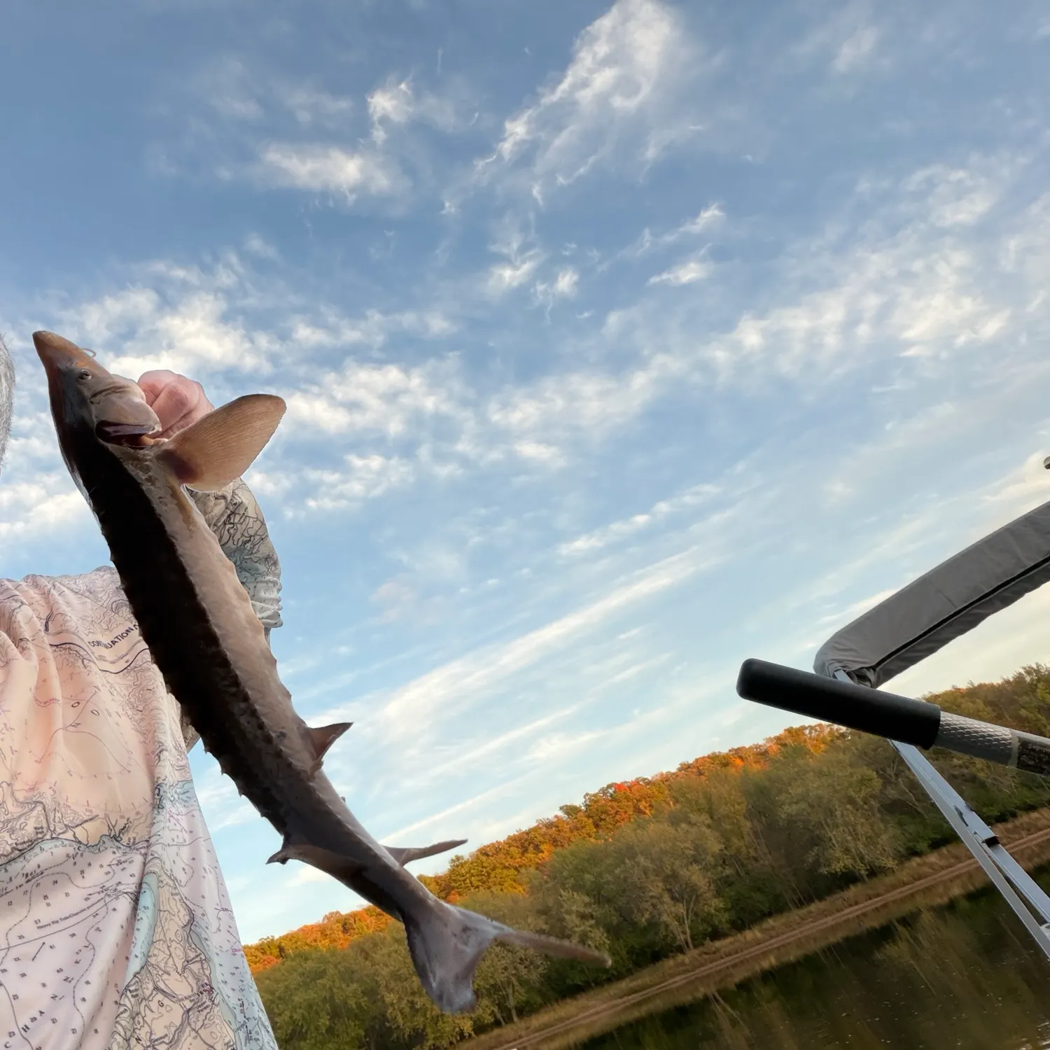 Lake sturgeon caught on Fishbrain