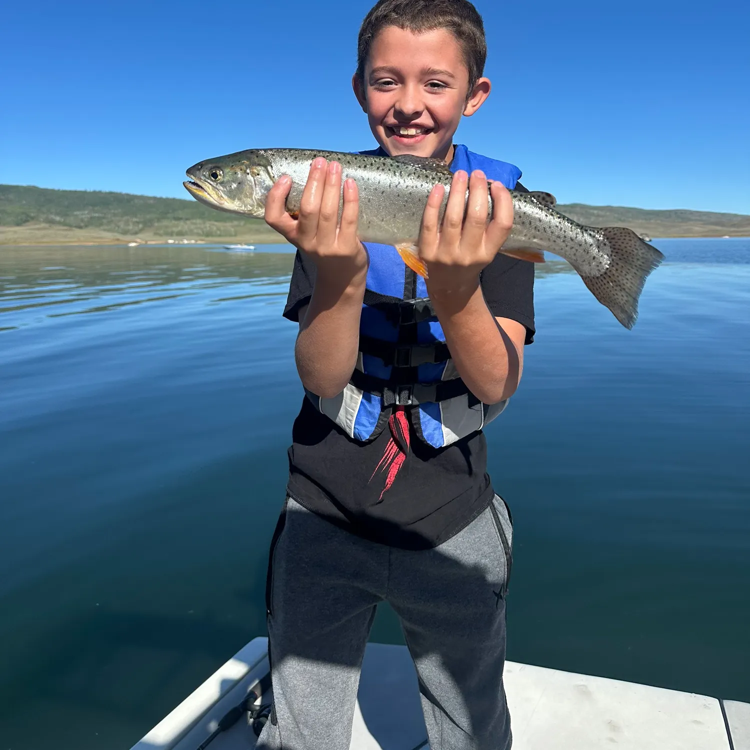 Cutthroat trout caught on Fishbrain