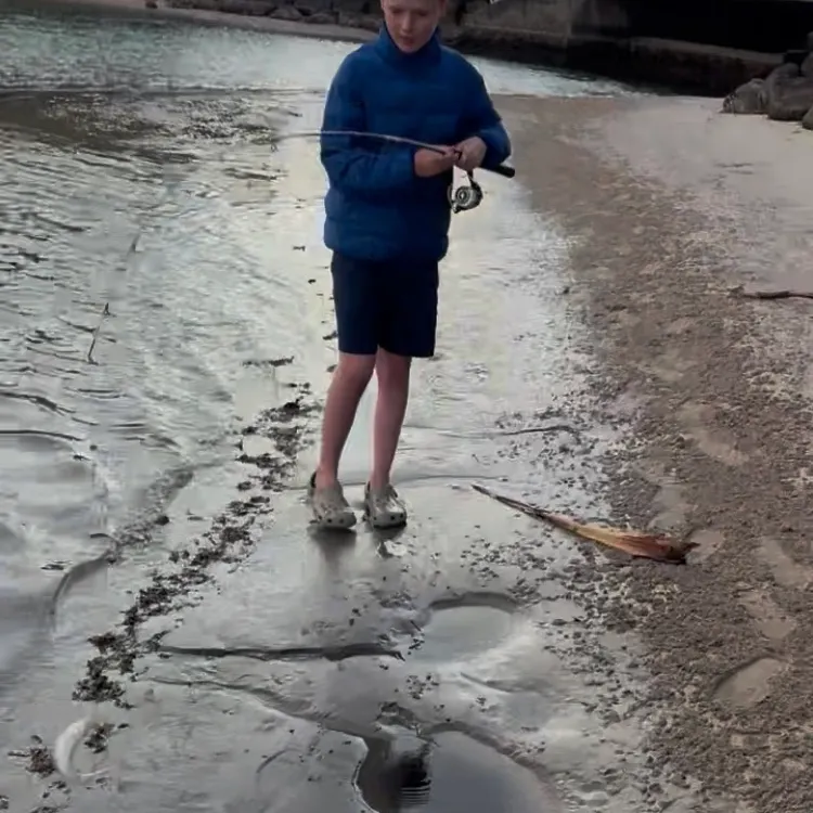 Sand sillago caught on Fishbrain
