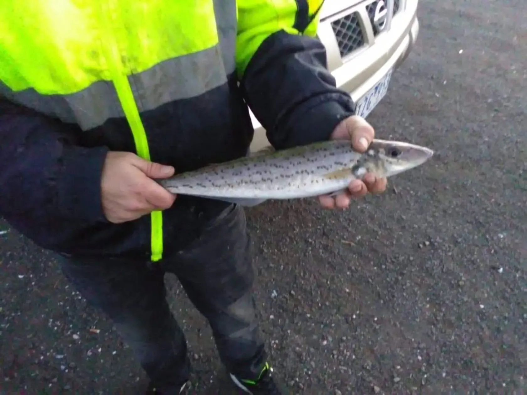 Post image from jessealldridge