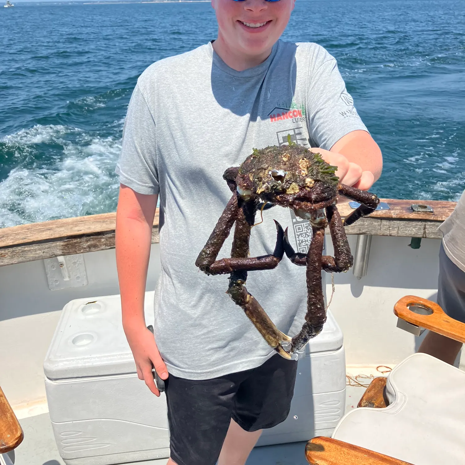 The most recent European spider crab catches on Fishbrain