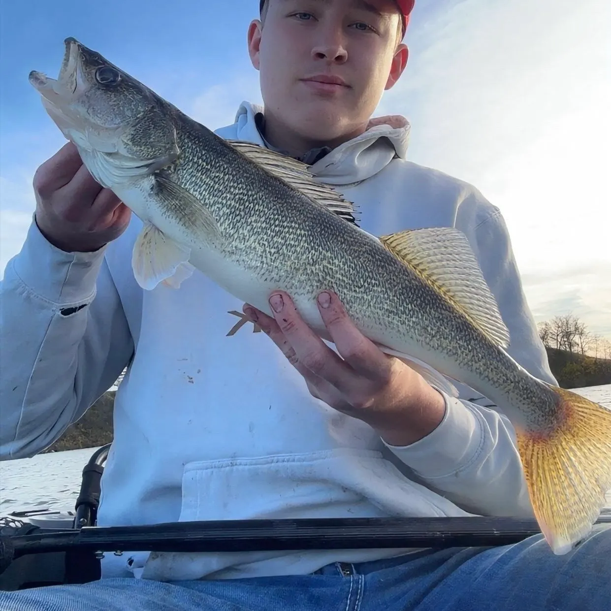 Walleye caught on Fishbrain