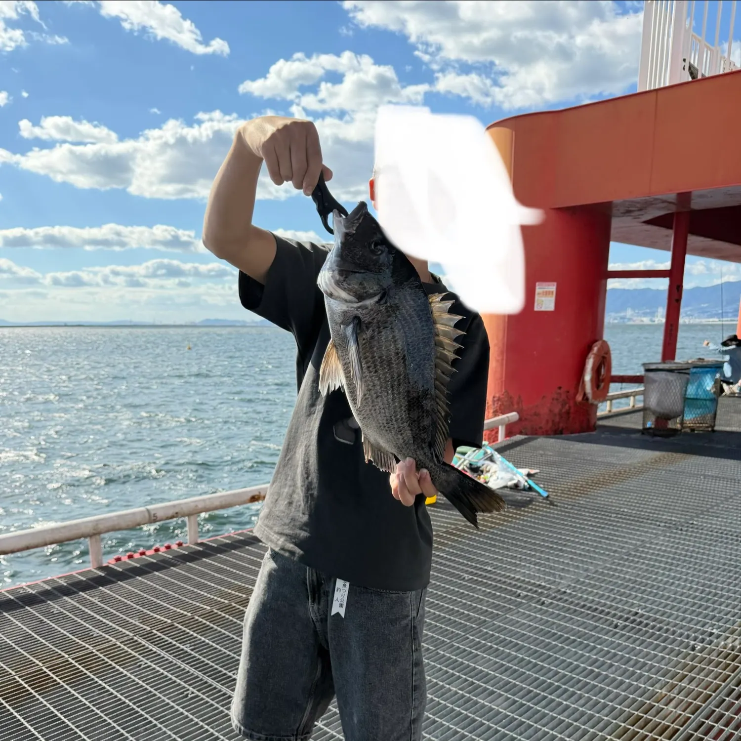 The most recent Blackhead seabream catches on Fishbrain