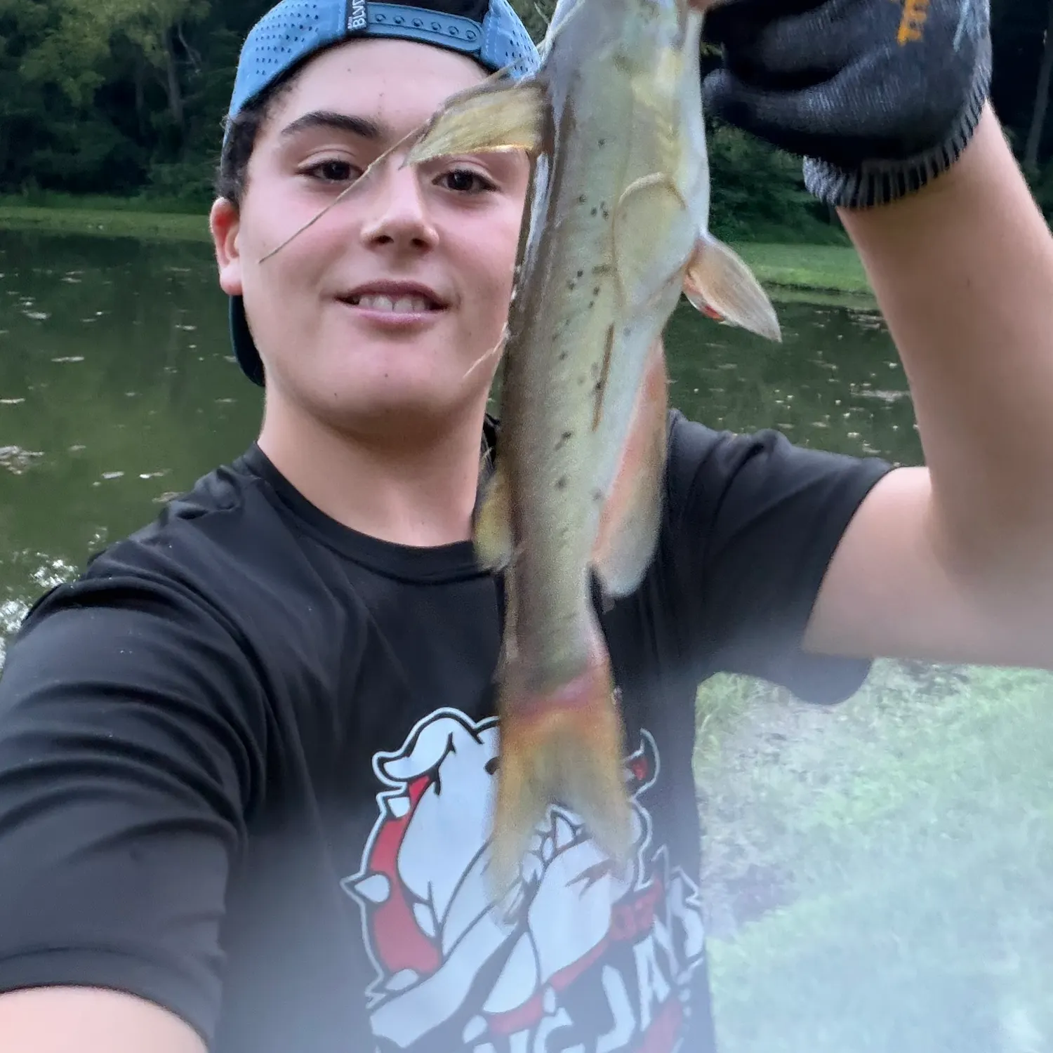 Channel catfish caught on Fishbrain