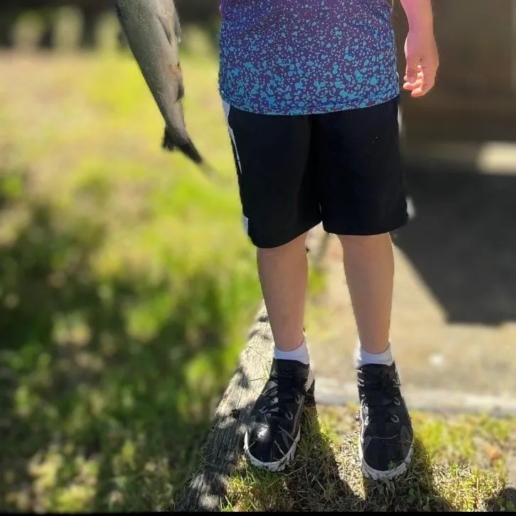 The most recent Coho salmon catches on Fishbrain