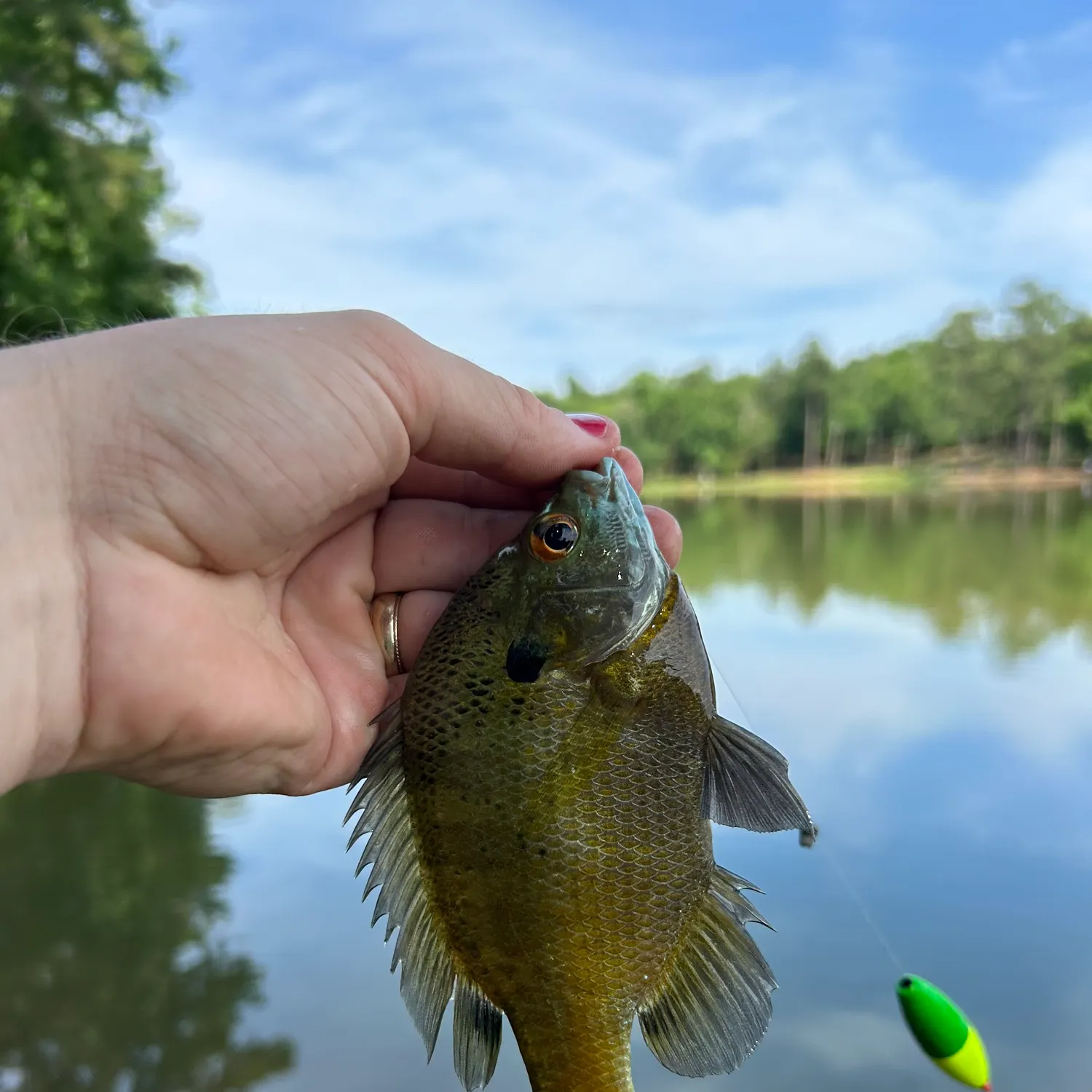 catch