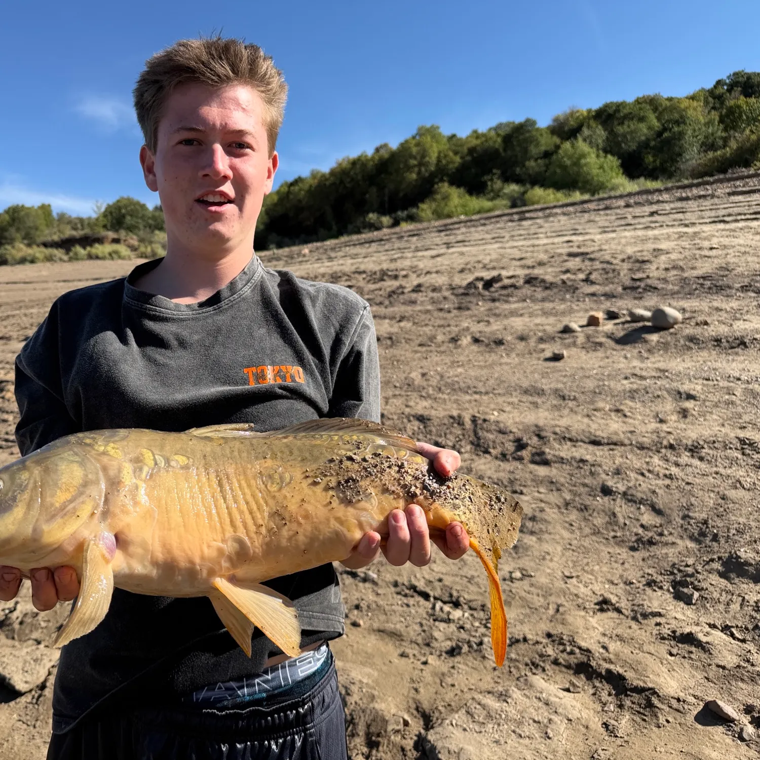 Mirror carp caught on Fishbrain