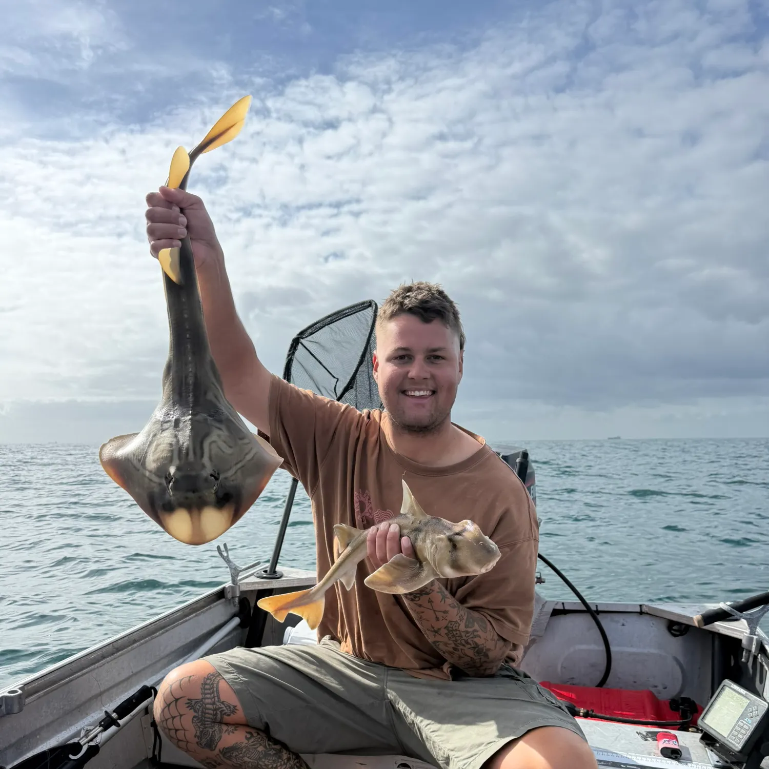 The most recent Port Jackson shark catches on Fishbrain