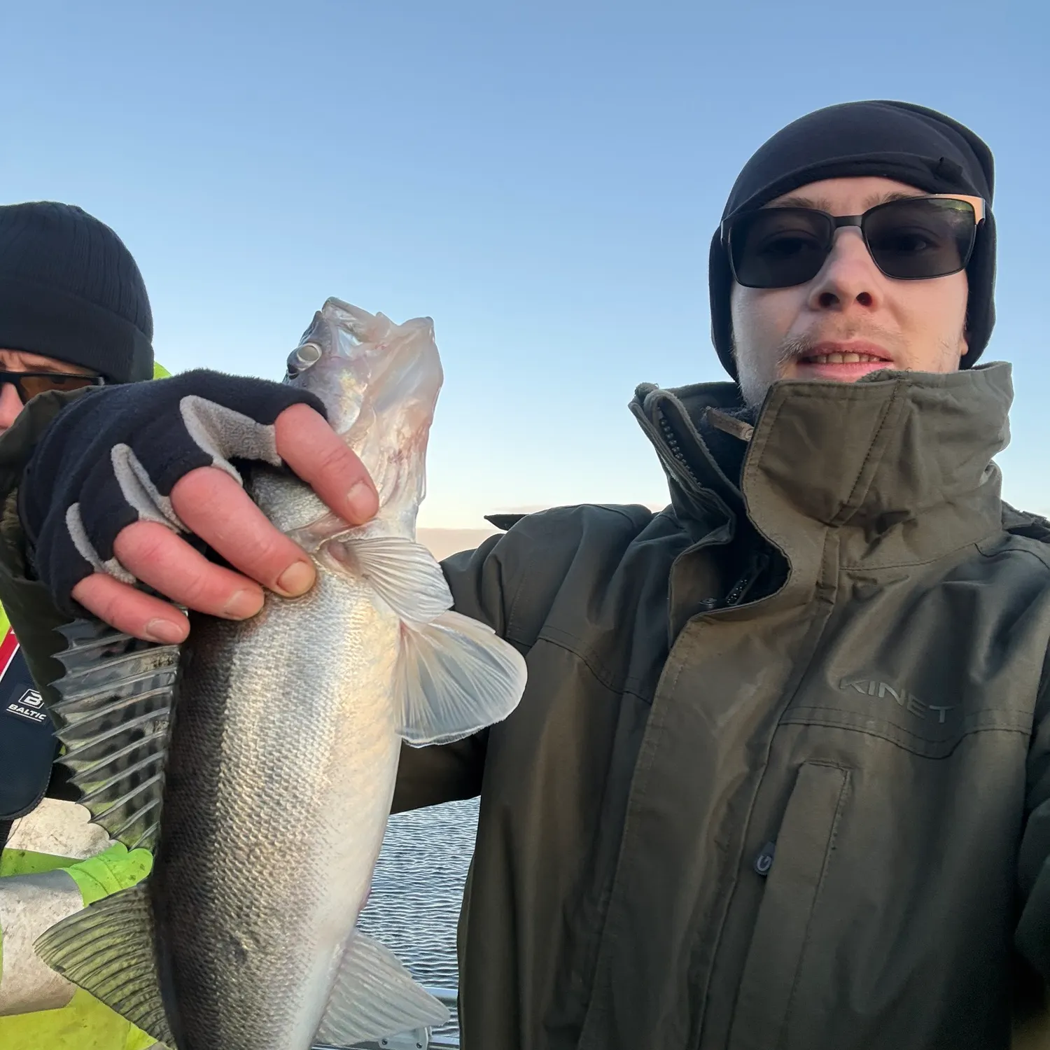 The most recent Zander catches on Fishbrain