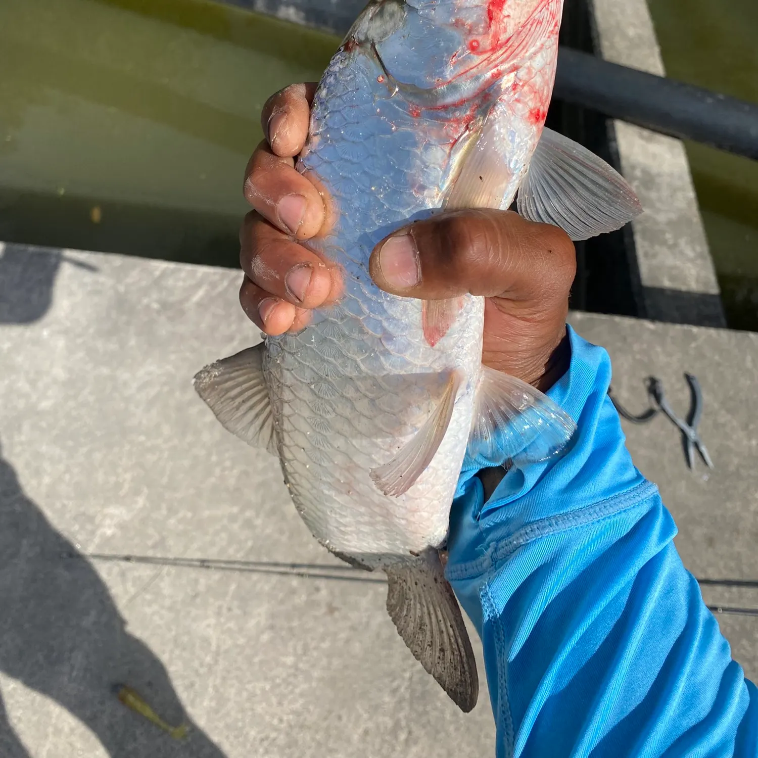 catch