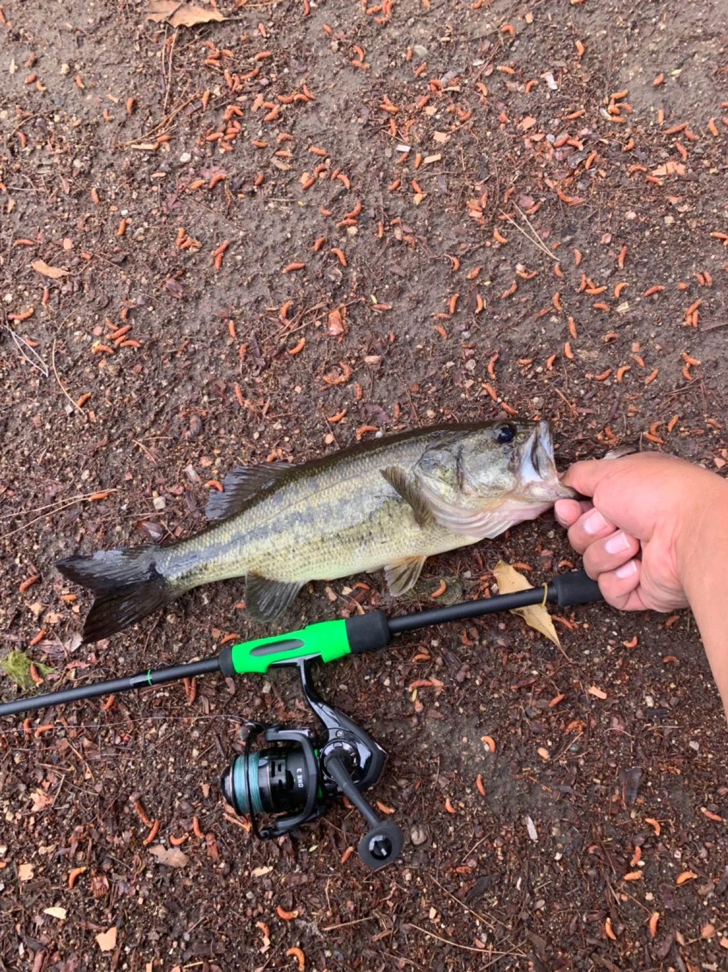 Post image from abelpajares