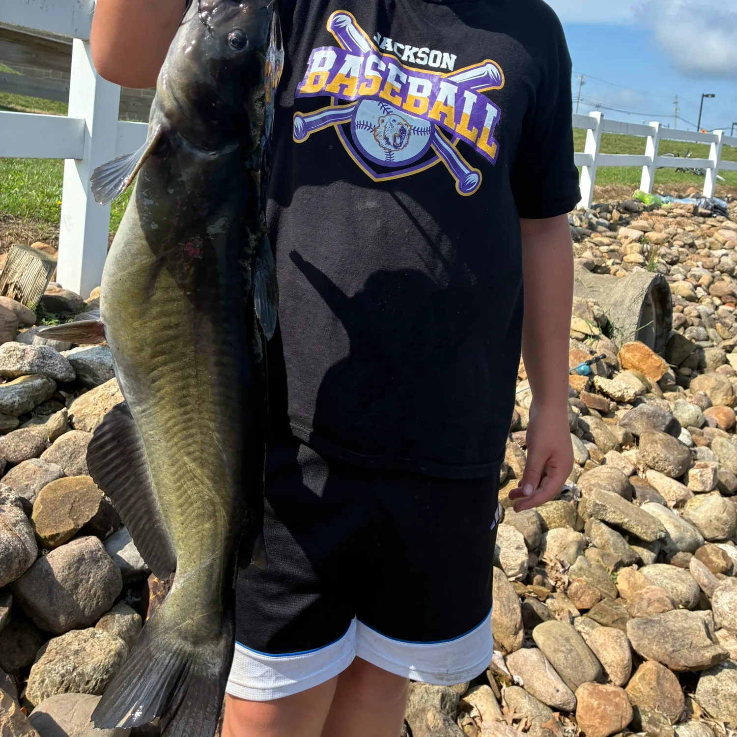 Channel catfish caught on Fishbrain