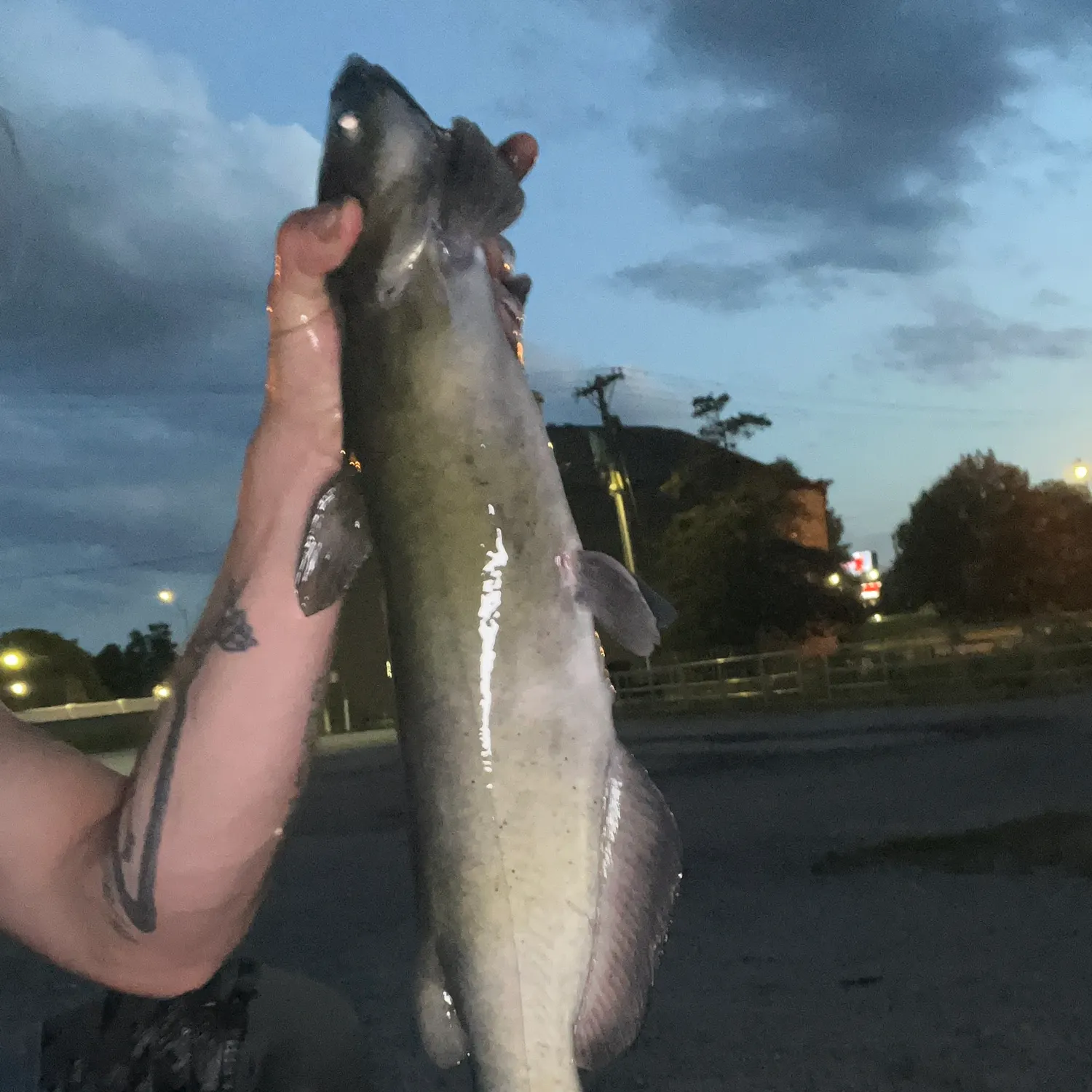 catch
