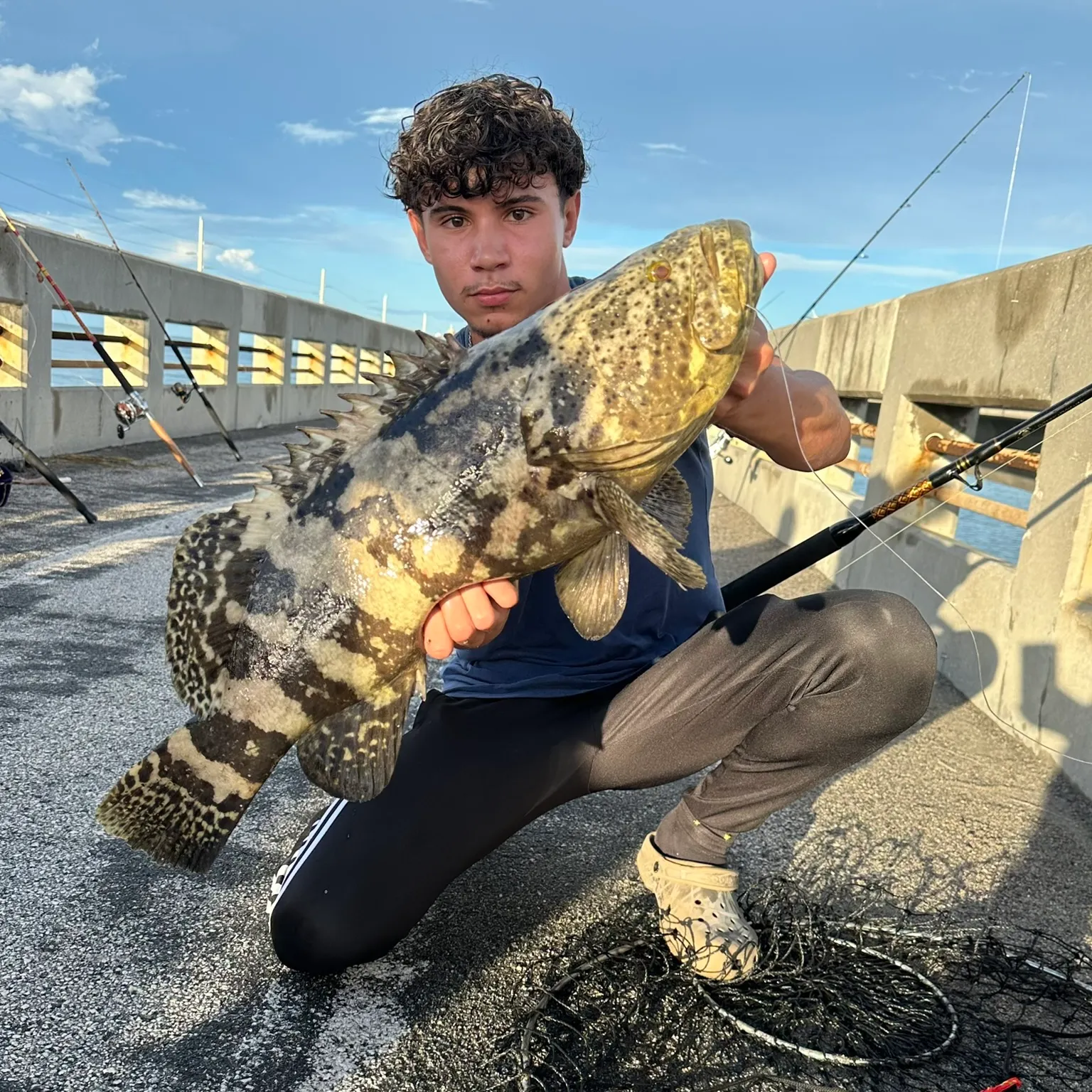 The most recent Atlantic goliath grouper catches on Fishbrain