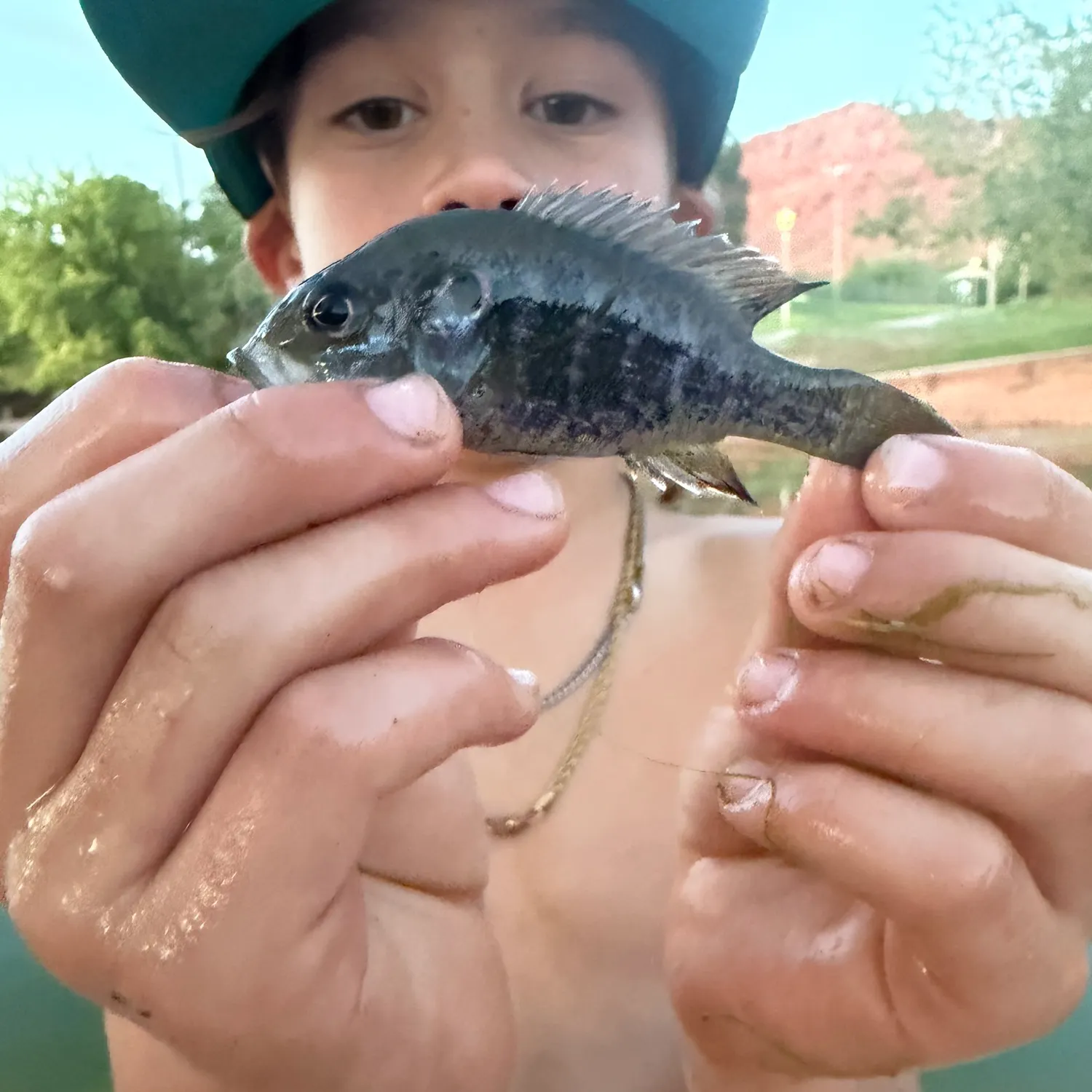 Fish caught on Fishbrain