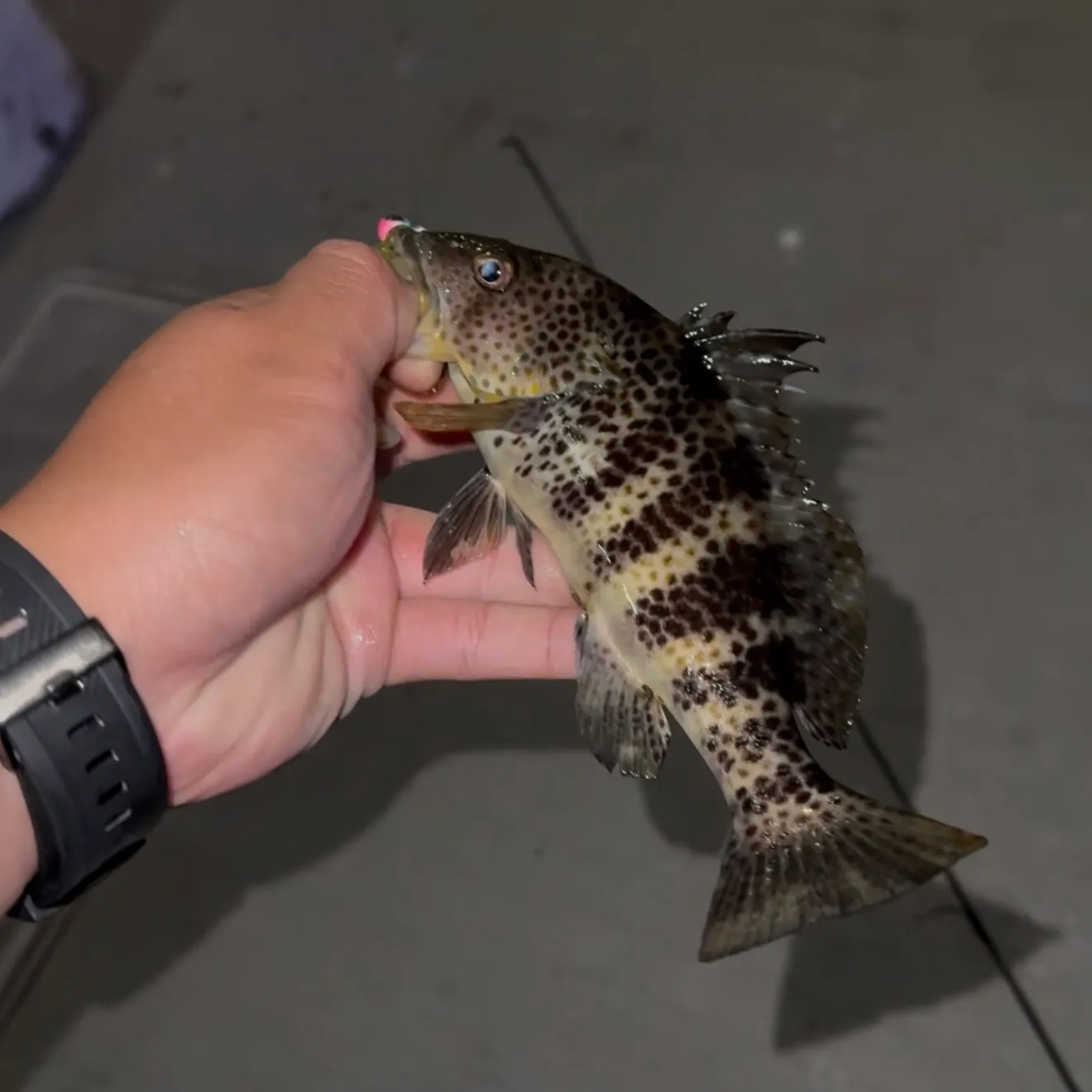 catch