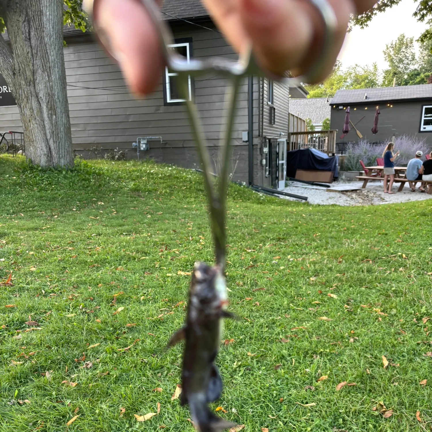 catch