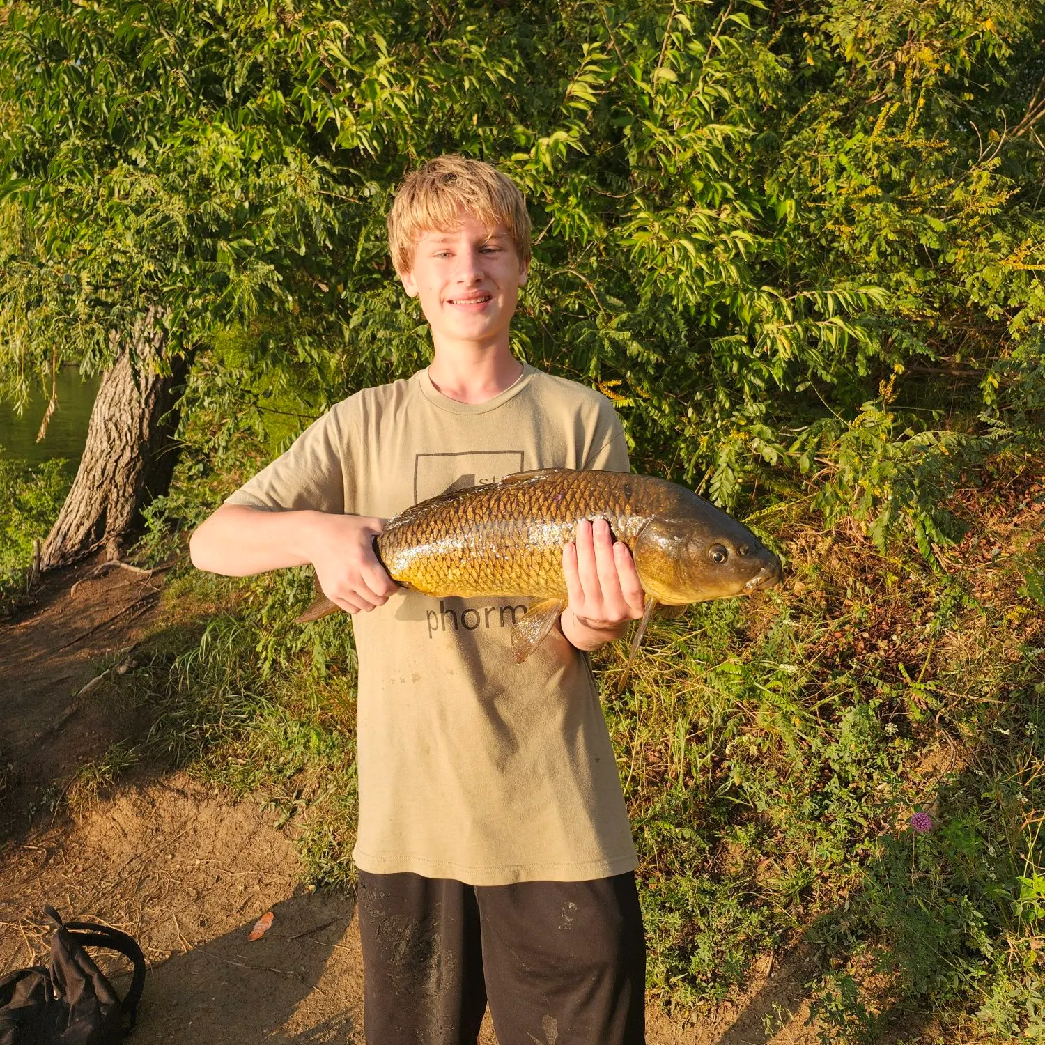 Common carp caught on Fishbrain