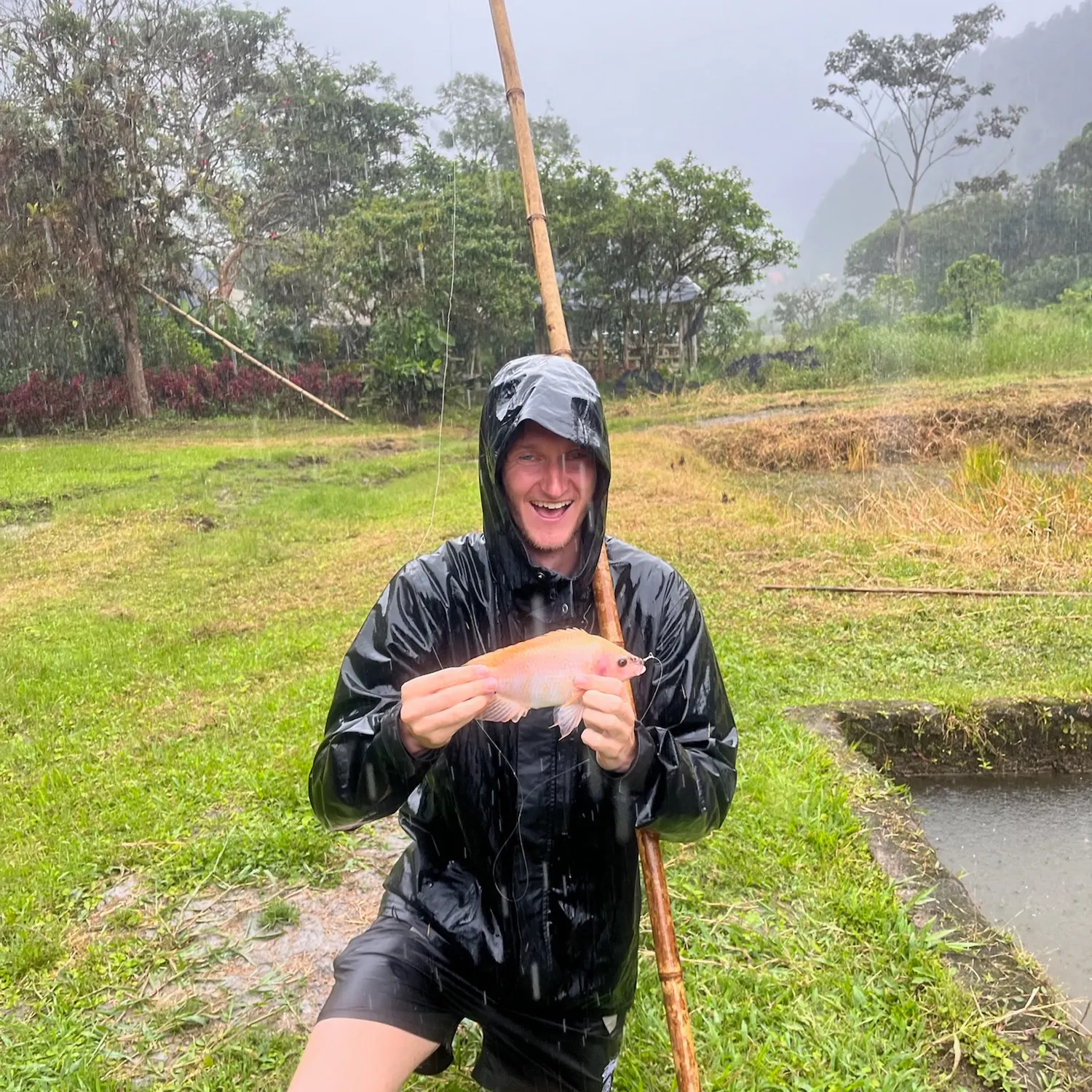 The most recent Red tilapia catches on Fishbrain