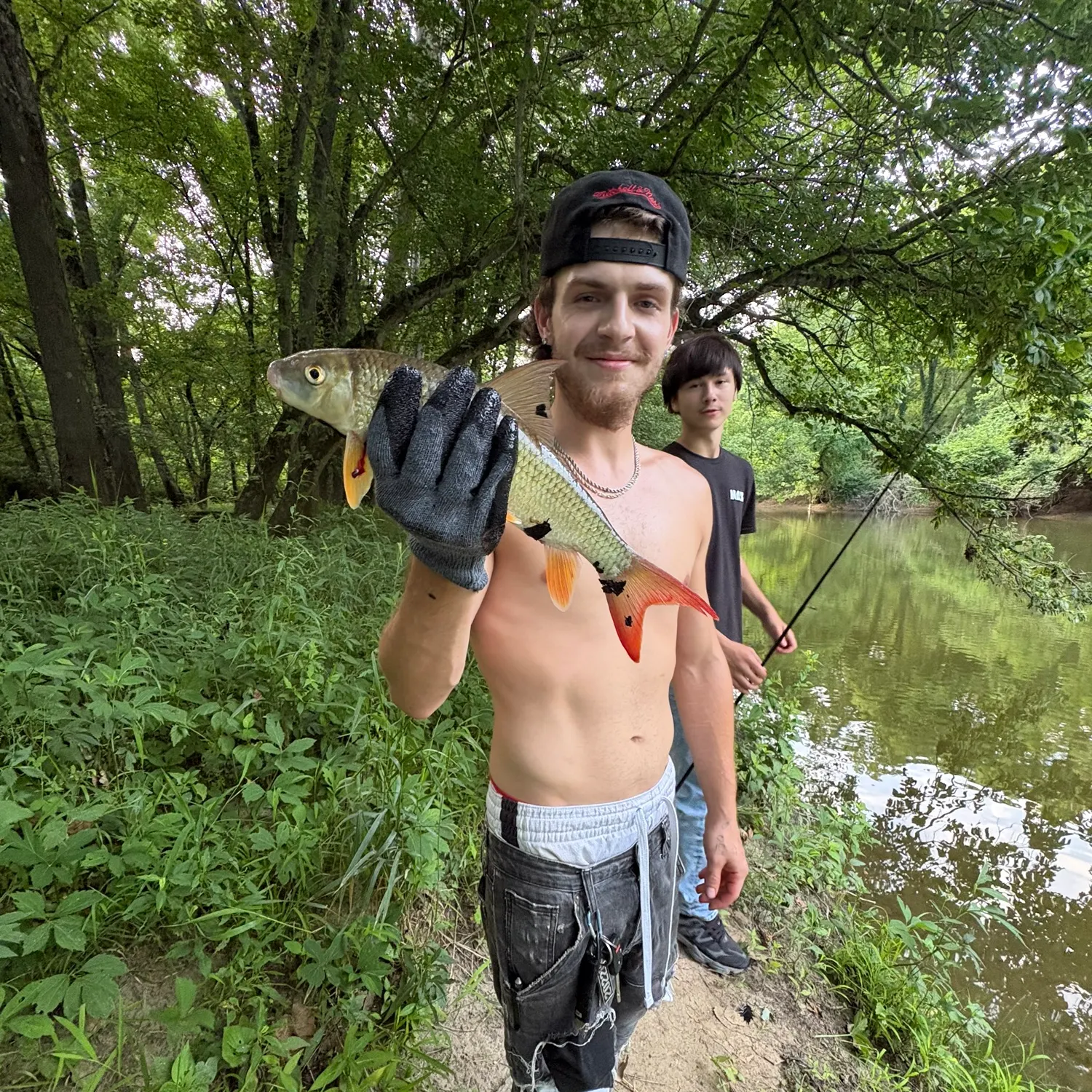The most recent Shorthead redhorse catches on Fishbrain