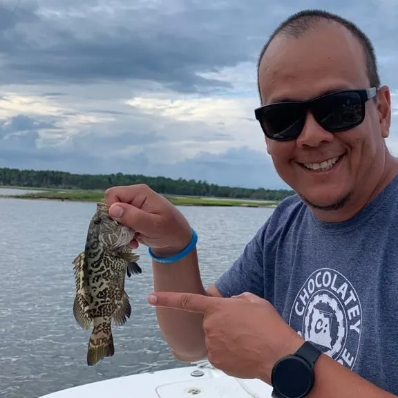 The most recent Pacific goliath grouper catches on Fishbrain