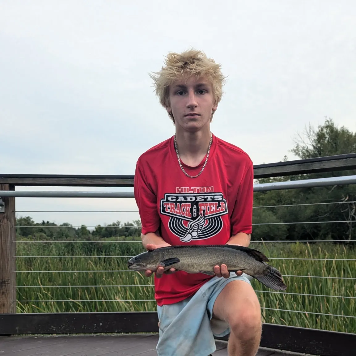 Eyetail bowfin caught on Fishbrain