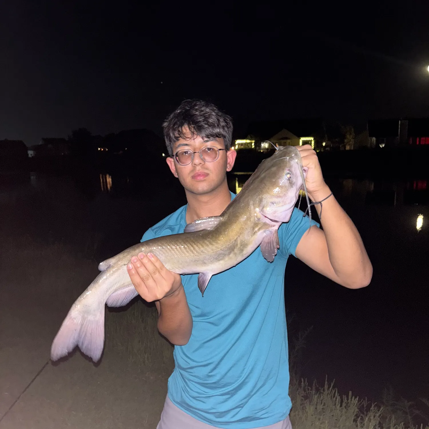 Channel catfish caught on Fishbrain
