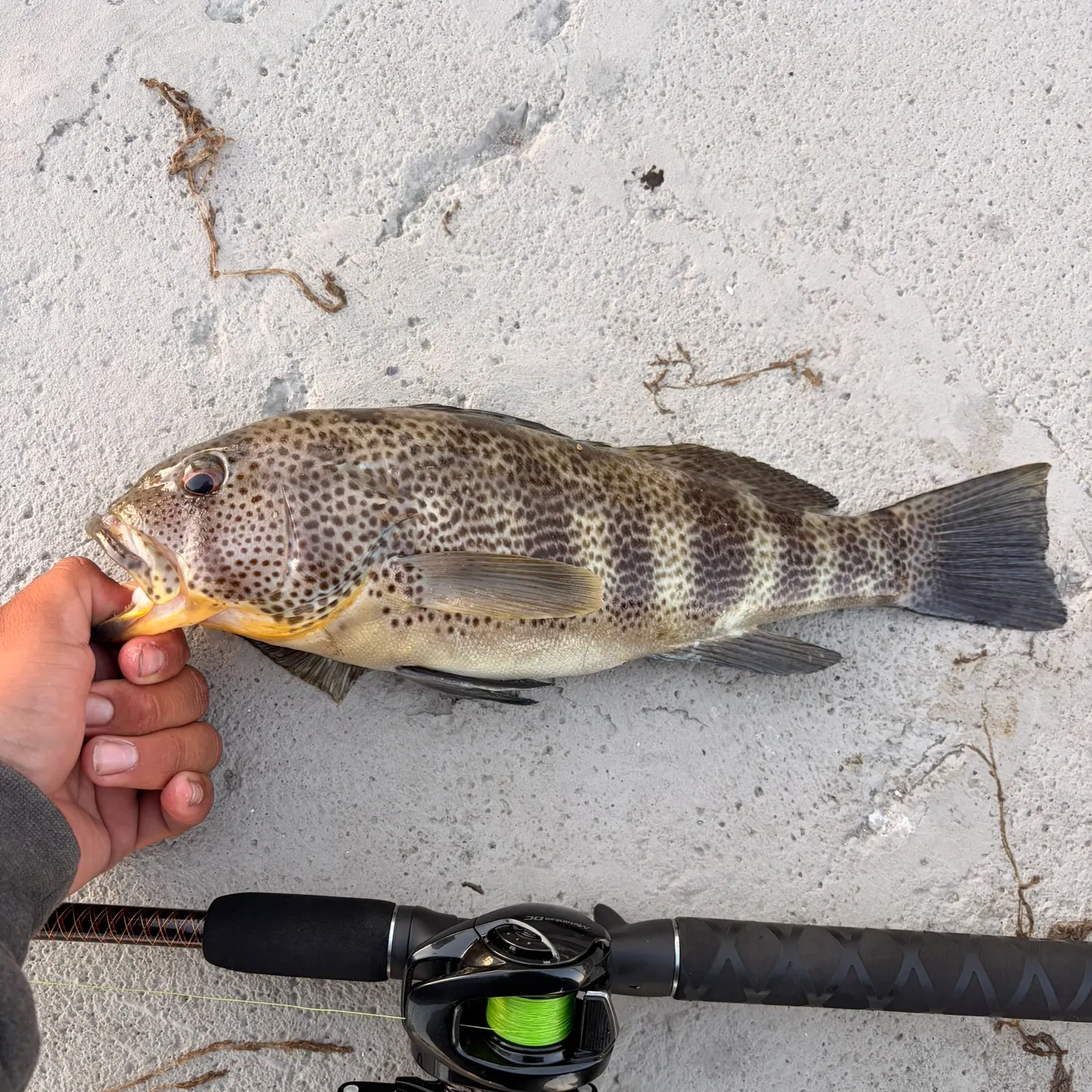 catch