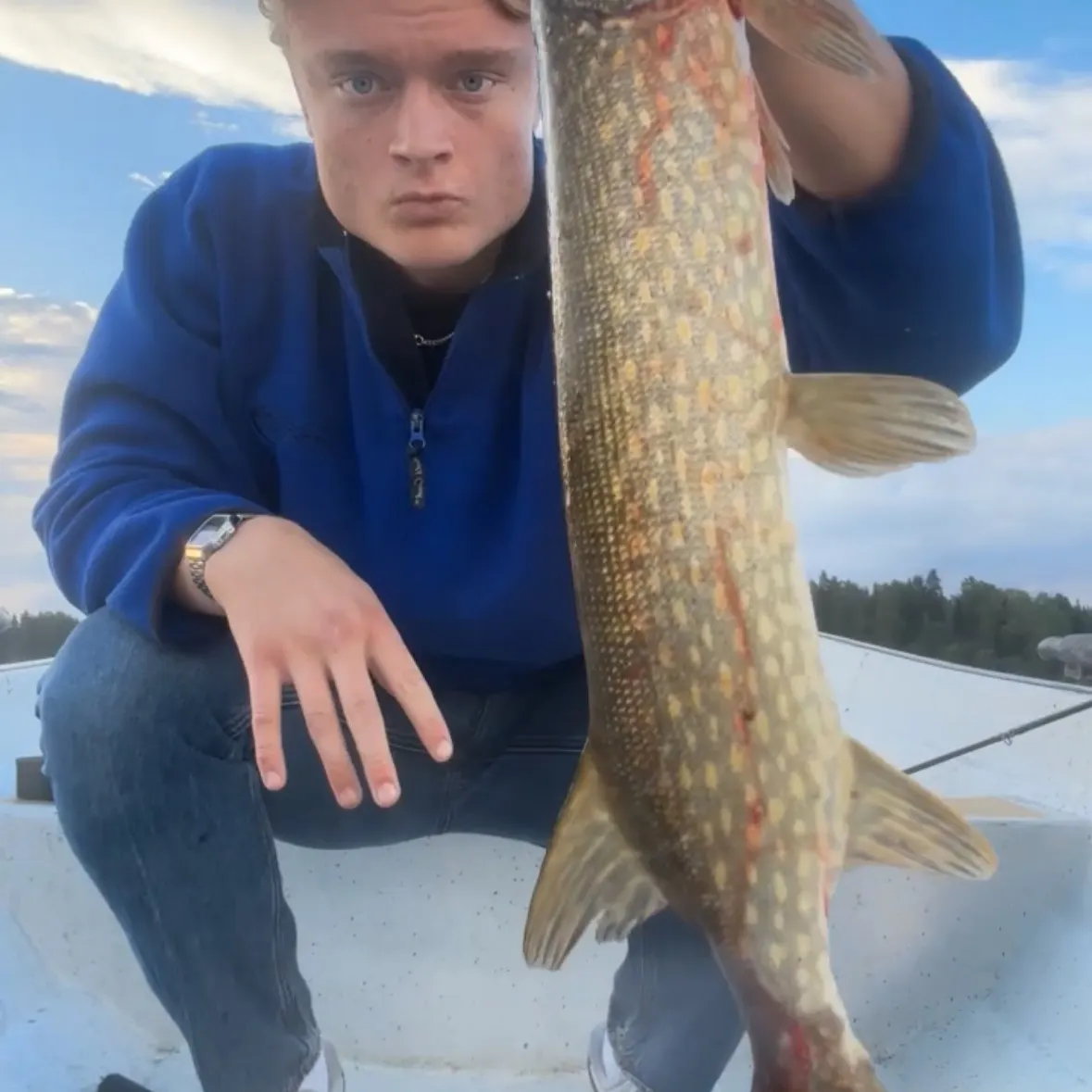 Northern pike caught on Fishbrain
