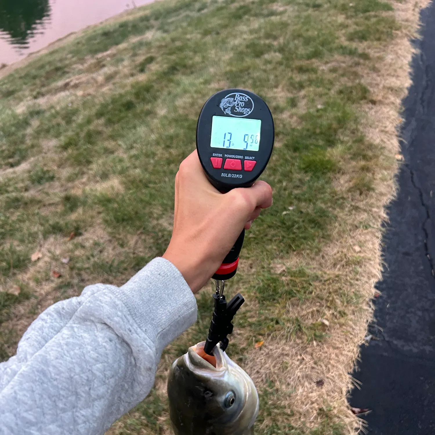 Grass carp caught on Fishbrain
