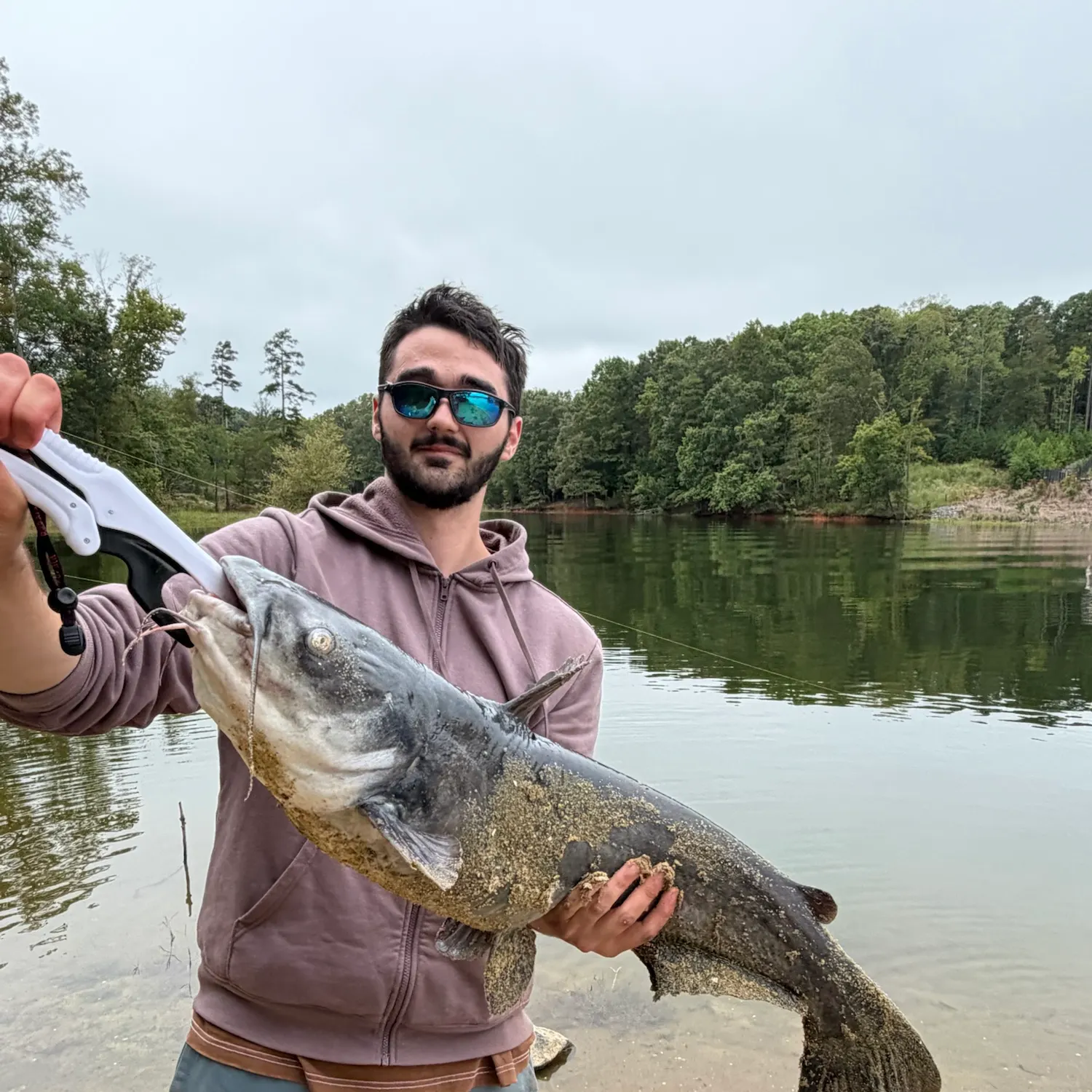 Blue catfish caught on Fishbrain
