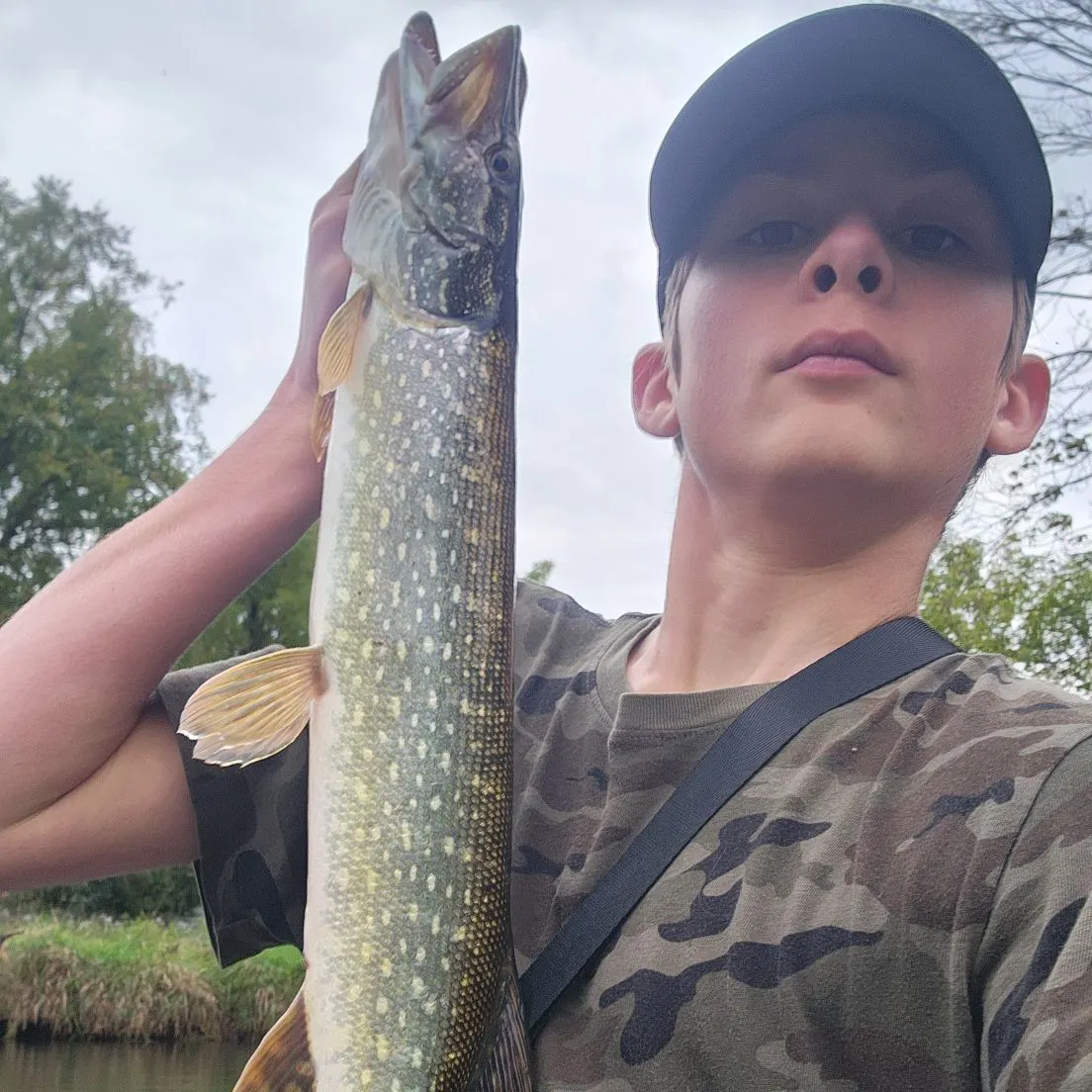 Northern pike caught on Fishbrain