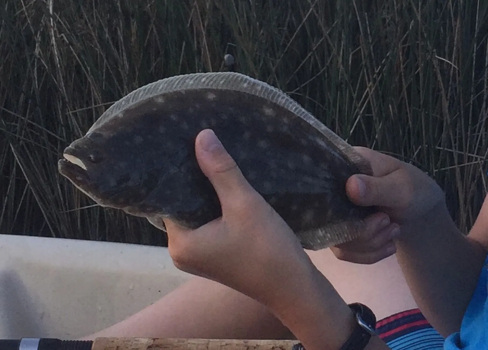 Post image from bspleh