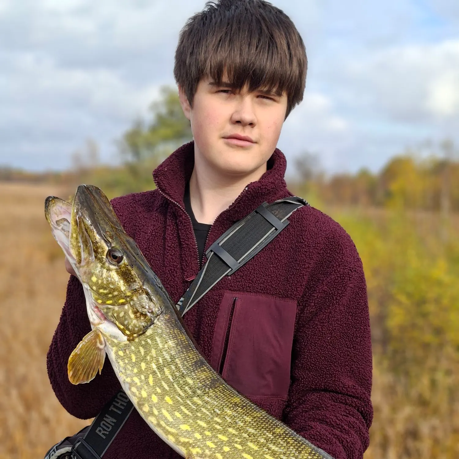 Northern pike caught on Fishbrain