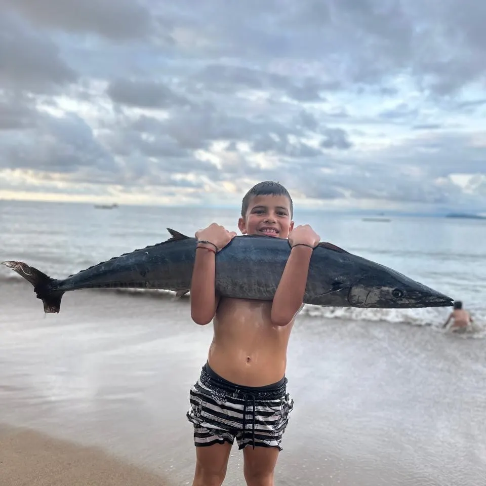 Wahoo caught on Fishbrain