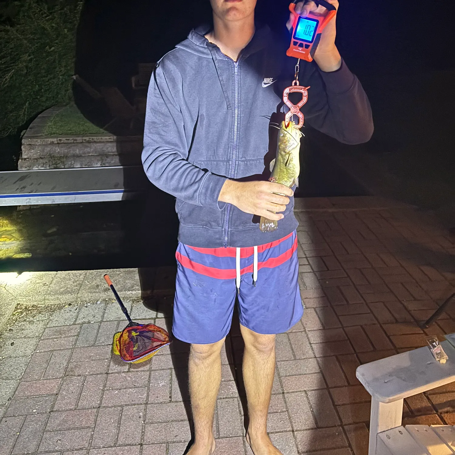 Yellow bullhead caught on Fishbrain