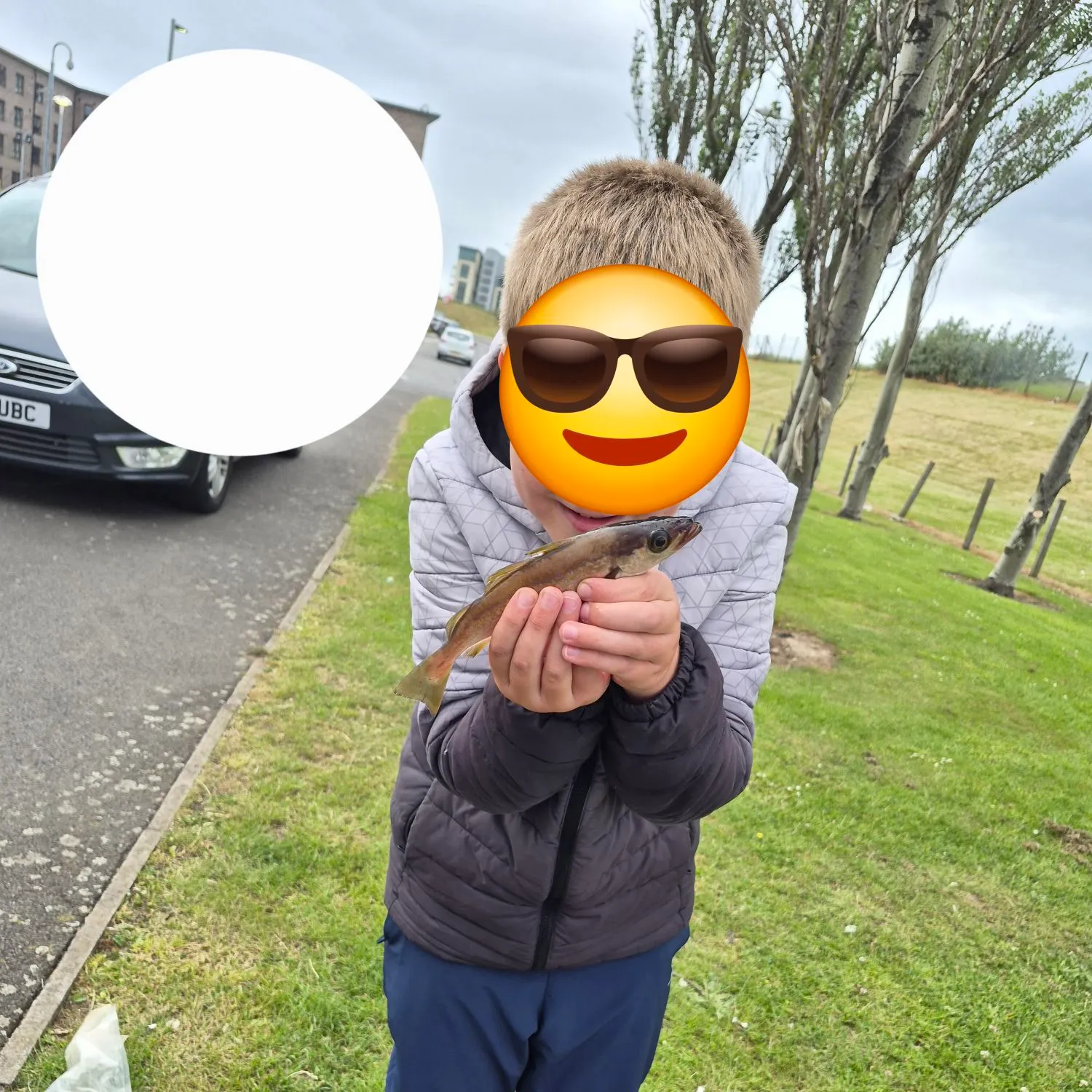 The most recent Pollack catches on Fishbrain