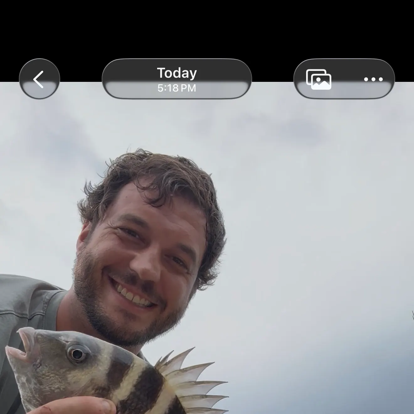 Sheepshead caught on Fishbrain