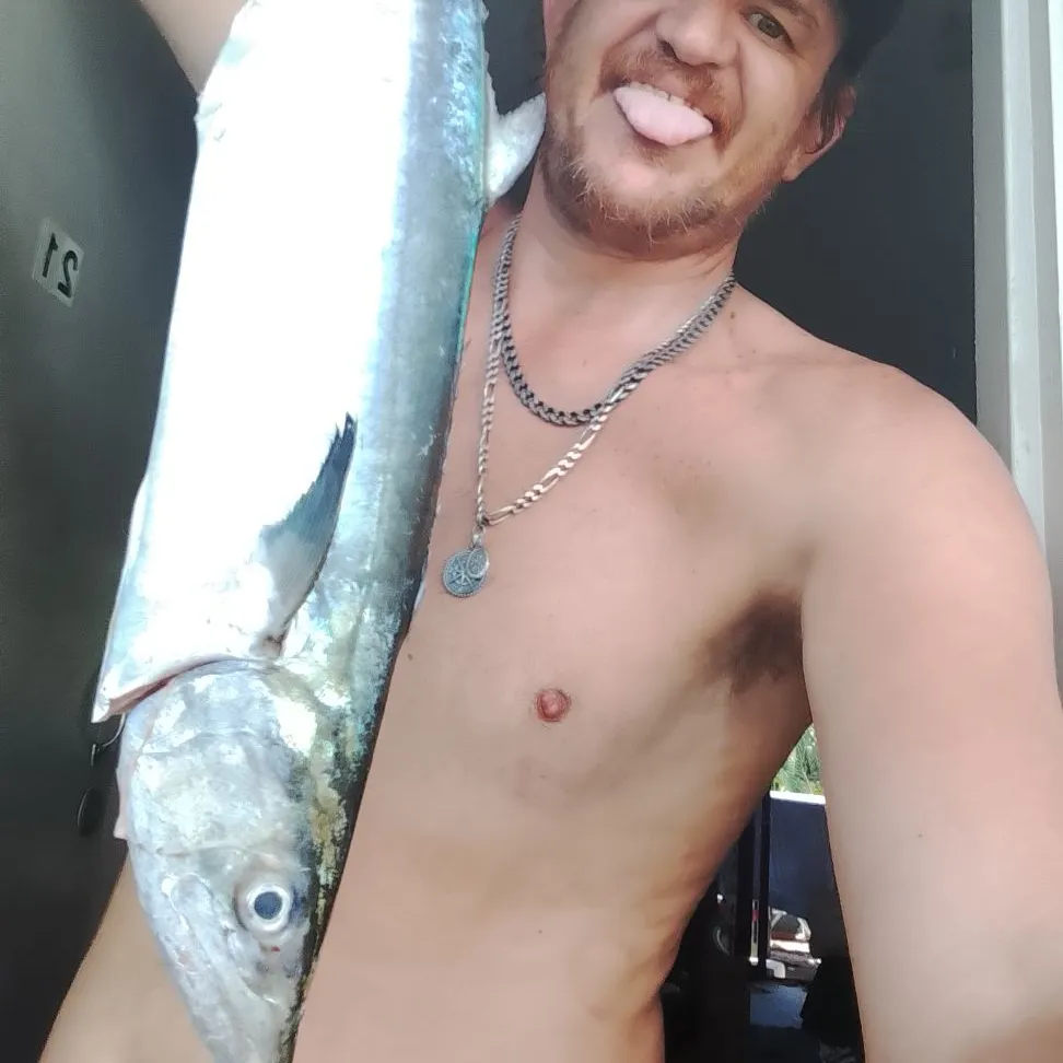 The most recent Indo-Pacific king mackerel catches on Fishbrain