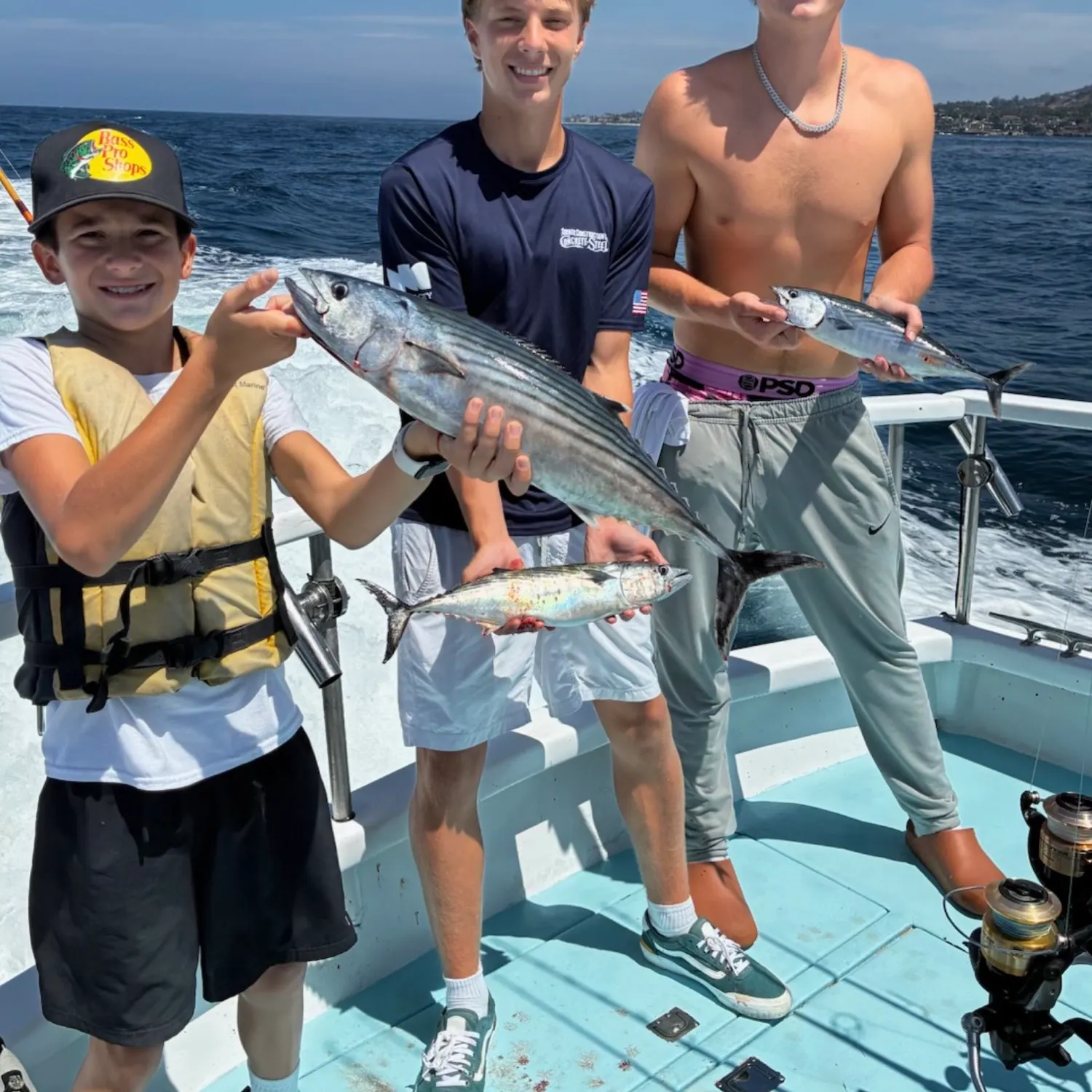 Pacific bonito caught on Fishbrain