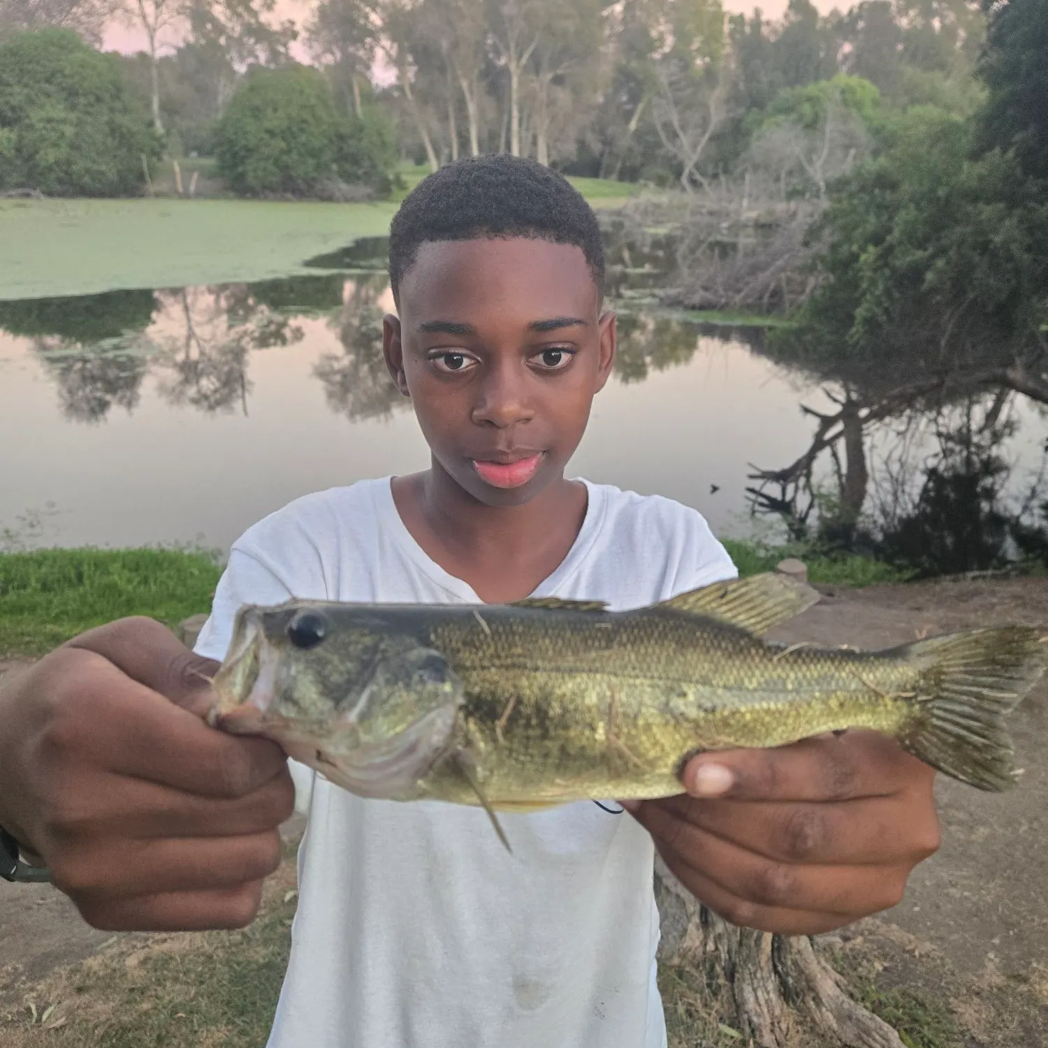 Fish caught on Fishbrain