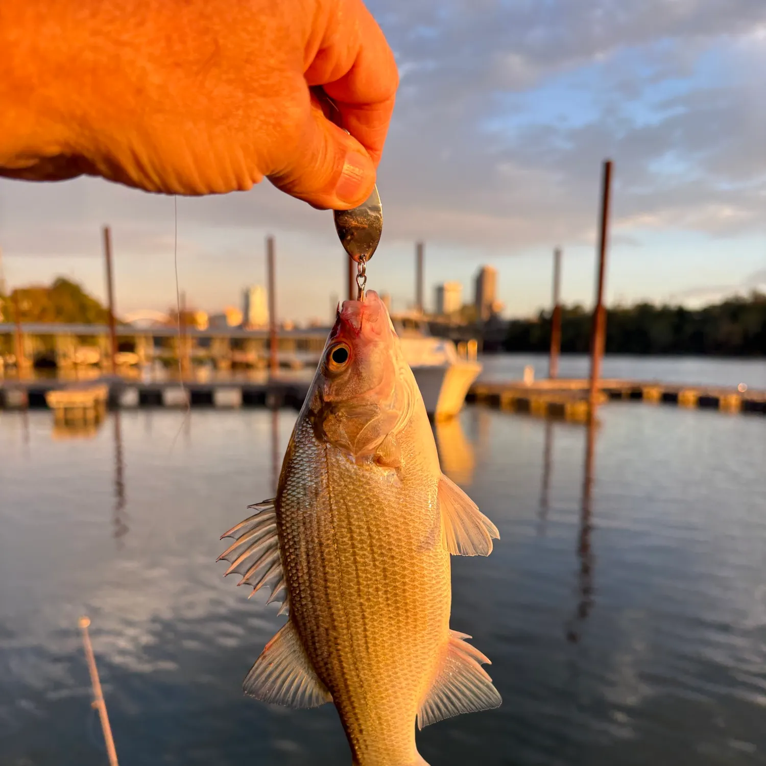 catch