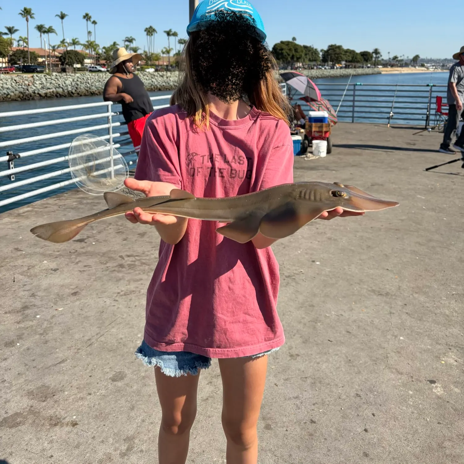 Pacific shovelnose guitarfish caught on Fishbrain