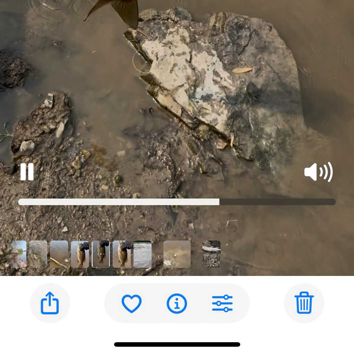 recently logged catches