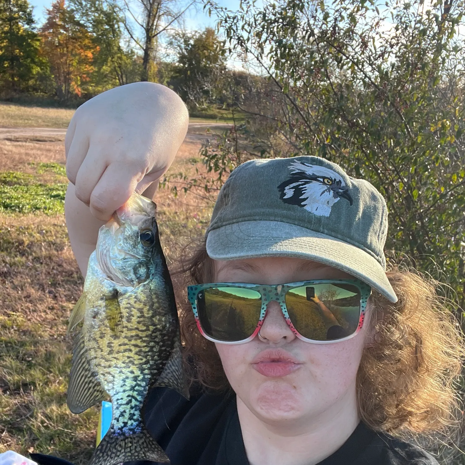 Black crappie caught on Fishbrain