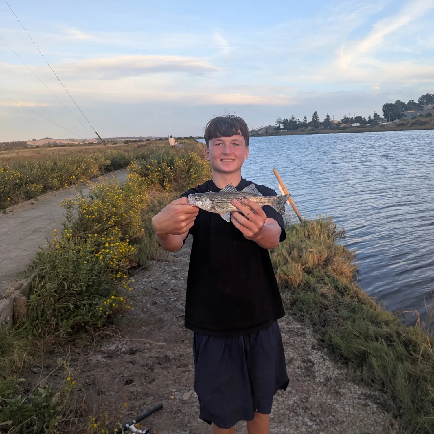 Striped bass caught on Fishbrain