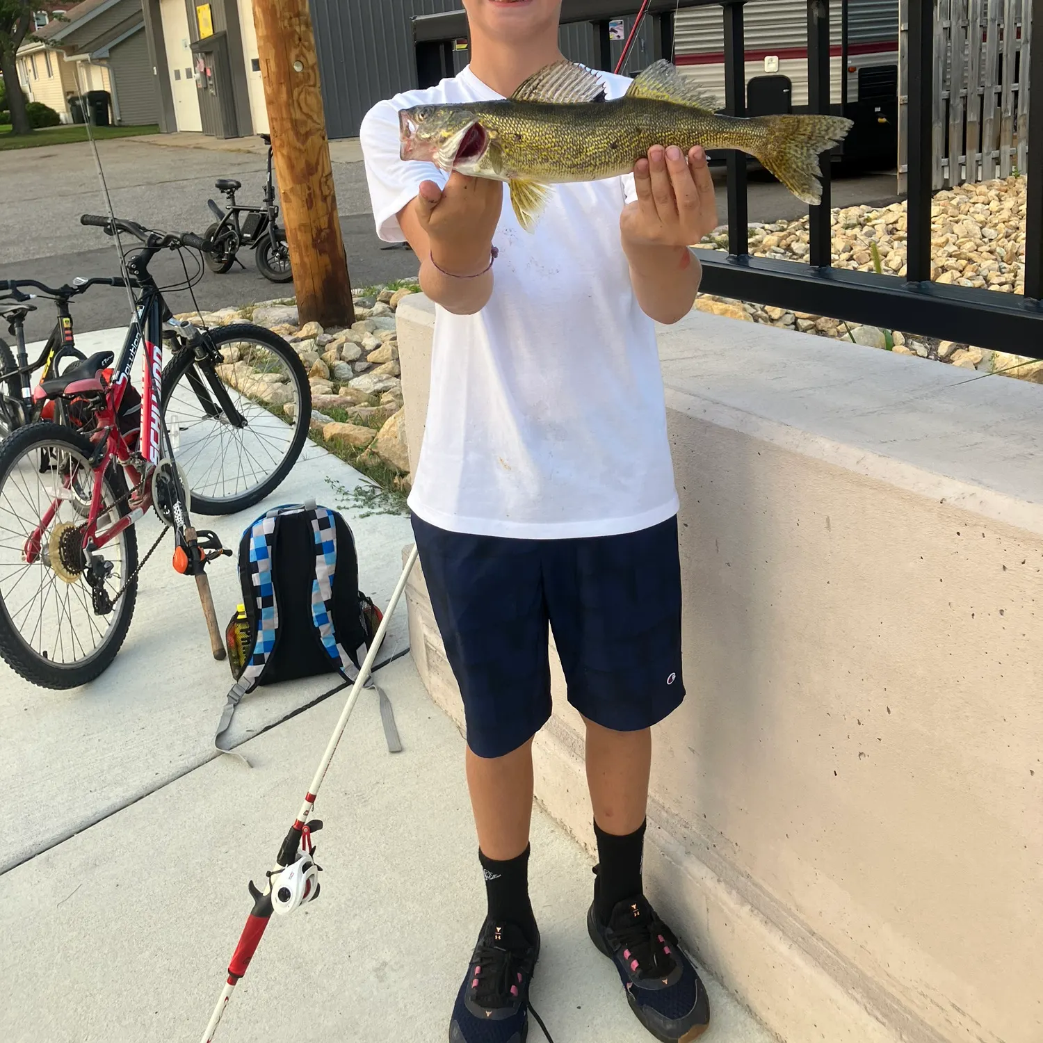 recently logged catches