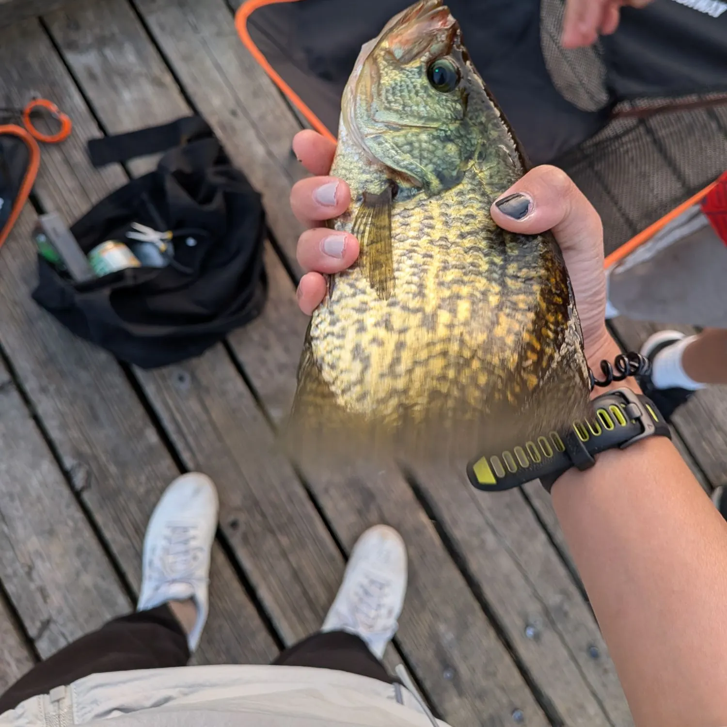 catch