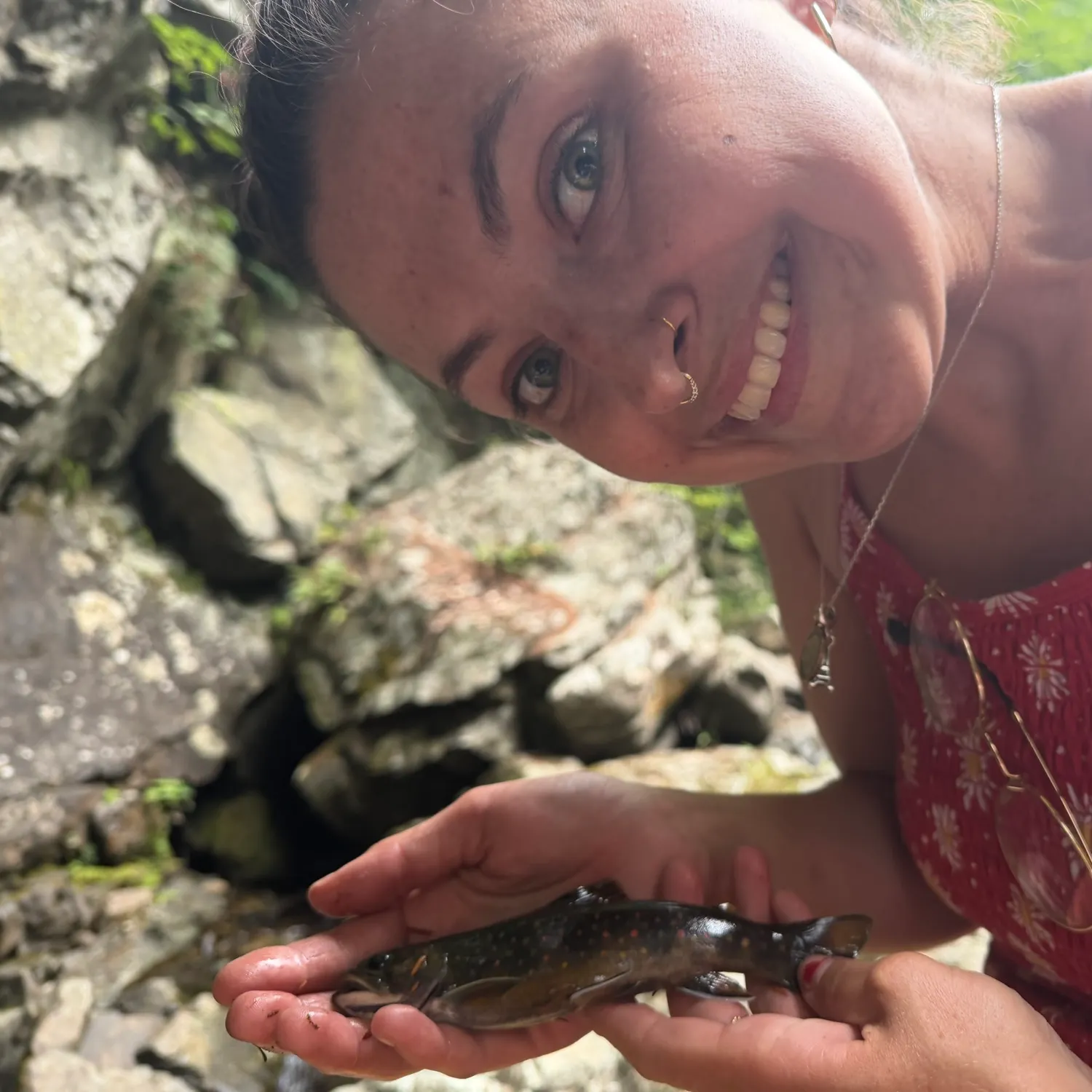 Brook trout caught on Fishbrain